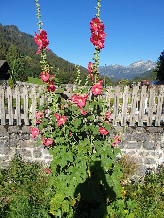 Auberge De L'Ours Vers L'Eglise Buitenkant foto